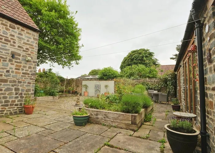 Musthay Mews Tockington * 布里斯托